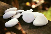 Rocks
