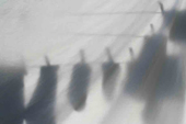 Shadows